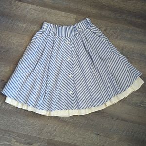 ZARA A-Line Skirt